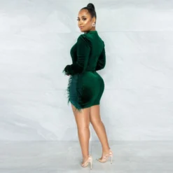 Nipped Waist Velvet Dress Bodycon Wholesale Dresses St Patricks Day SD202181 -Amour Vert shop 15049983 05e2 419b a245 607fd109e9c8 4091699DE279F313E56C248B80D2869E