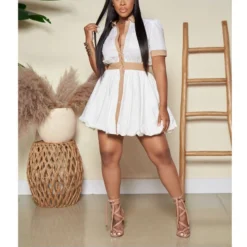 Casual Lapel Single-Breasted Mini Shirt Dress Short Sleeves A-Line Wholesale Dresses SDN561866