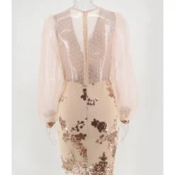 Mesh Sleeve V-neck Sequins Stitch Party Dress -Amour Vert shop 210330099 2