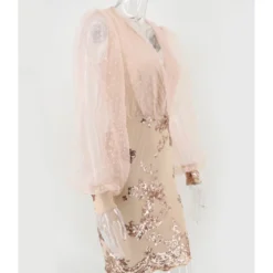 Mesh Sleeve V-neck Sequins Stitch Party Dress -Amour Vert shop 210330099 3