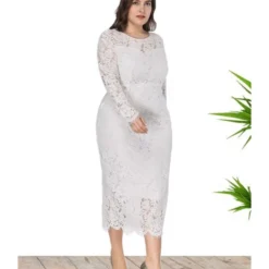 Plus Size Lace Hollow Bodycon Slim Evening Dress 210722029 -Amour Vert shop 210722029 2