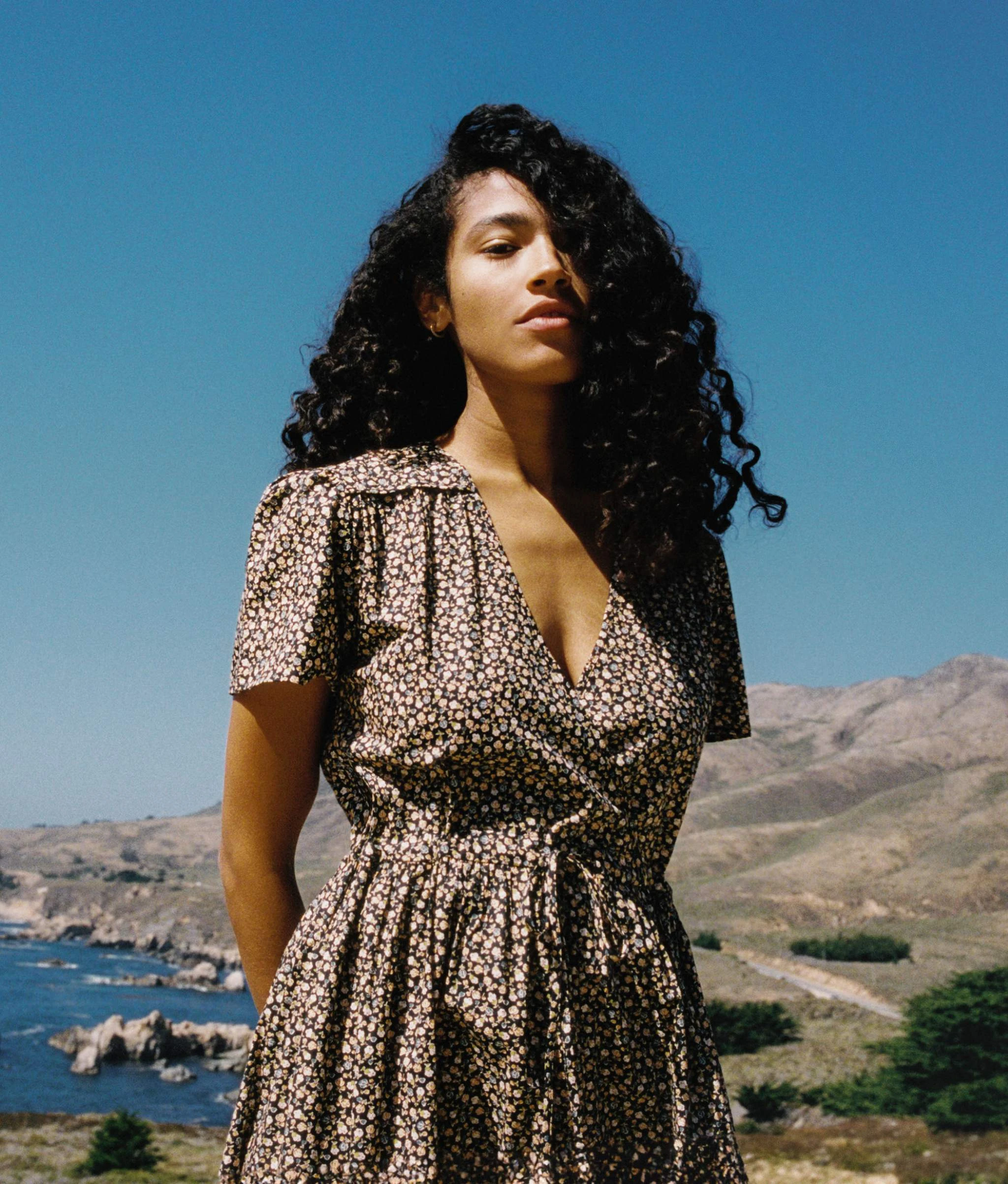 The Dawn Dress Petites | Noir Harvest 8 The Dawn Dress Petites | Noir Harvest - Image 6